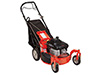 Ariens Classic LM 21SW f�ny�r� Briggs and Stratton